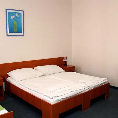Hotel Agricola Prague